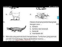 Maybe you would like to learn more about one of these? Soal Ipa Kelas 3 Sd Dan Pembahasannya Youtube