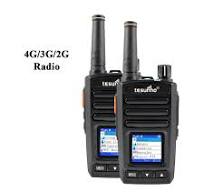 Mini 4G Walkie Talkie With Panic Button TH-282 Tesunho ...
