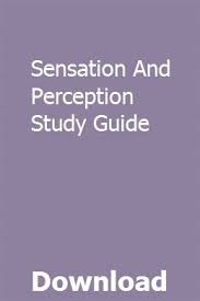 Sensation And Perception Study Guide Study Guide Ap Psychology Apologia General Science