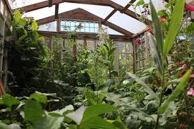 This gave us a little bit of excess, which we sawed off later. The Green Lever Using Minimal Resources For Maximum Quality Of Life Home Made Low Cost Pallet Wood Greenhouse Viable Safe Year Round Food Production