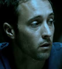The Steve McGarrett Story