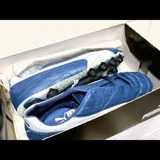 Image result for Medium Steel Blue 2001 Puma