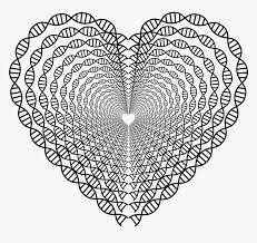 The original size of the image is 2400 × 2272 px and the original resolution is 300 dpi. Heart Doily Png Ausmalbild Herz Fur Erwachsene Transparent Png Kindpng