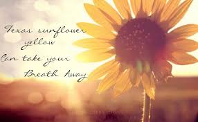 Pin By Dallas Maupin On Lyrics Say It All Chris Young Country Song Lyrics Country Song Quotes