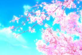 Anime Background 1920x1080 For Ipad Pro Anime Cherry Blossom Cherry Blossom Wallpaper Anime Scenery Wallpaper