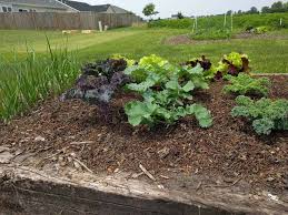 Fly ash is a common concern when using pavers, bricks, or cinder block materials to create raised garden beds. Are Raised Garden Beds Better Than In Ground Garden Beds Do Not Disturb Gardening