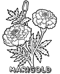 Marigold coloring page | free printable coloring pages, free portable network graphics (png) archive. 2500 Free Printable Coloring Pages For Kids