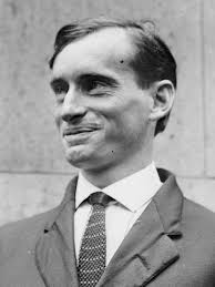 On the Fly! in Cynical Reflections