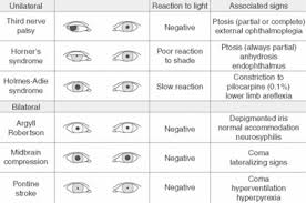 The Eye Clinical Gate