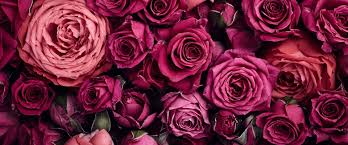 Romantic red wedding bouquets are perfect for nearly any season, but we especially love these punchy bundles of blooms for a valentine's day after all, red is the indisputable color of passion, conveying love and romance whether they're the color of the flowers delivered to your doorstep as a. Your Ultimate Guide To Wedding Flowers Names Types Bridals Pk