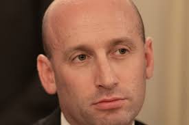 Bayard Taylor, Author at Community Alliance