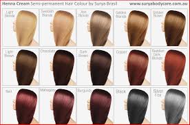 ion semi permanent hair color chart effendiinfo lamidieu