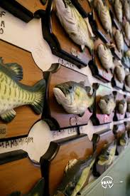 Catfish Frogs Legs And The Billy Bass Adoption Center Adoption Center Adoption Road Trip Adventure