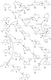 Image result for Neojeffreya