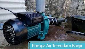 We did not find results for: Cara Membuka Pompa Air Submersible Masnurul