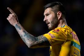 Tigre a morir ⭐⭐⭐francesito campeón (otra vez). Nobody Shuts Me Up Andre Pierre Gignac Got Involved In Discussion With David Faitelson After The Tigres Draw Against Atlas The Gal Times