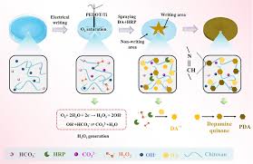 Image result for pentagram freezone cu 120