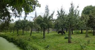 We did not find results for: Eigenaar Huis Te Jaarsveld Koopt Boomgaard Engelse Hoek Van Gemeente Lopik Utrecht Gelderlander Nl