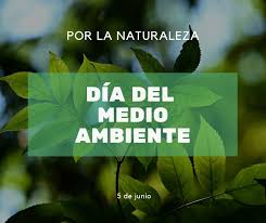 Día mundial del medio ambiente: Dia Mundial Del Medio Ambiente En El Colegio Colegio Nuestra Senora Del Recuerdo