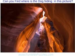 Here you find our popular collection of dog riddles and other interesting and fun dog puzzles and brain teasers of all kinds. Hidden Animals Picture Puzzles With Answers