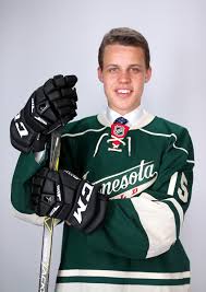 I'll smash you with a hockey stick: Joel Eriksson Ek Nhl Wiki Fandom