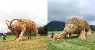 Discover hundreds of ways to save on your favorite products. Japanese Farming Tradition Uses Rice Straw To Make Epic Works Of Art After Harvests