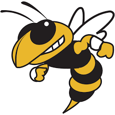 Check out our yellow jacket decor selection for the very best in unique or custom, handmade pieces from our digital shops. Georgia Tech Yellow Jackets We Re A Split Family When It Comes To College Football Craig Georgia Tech Yellow Jackets Georgia Tech Football Tech Football