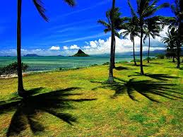16166 viewssea, beach, blue sky. Laptop Hawaii Nature Sunset Background Download Top Free Photos