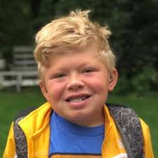 Stratham boy in California for clinical trial has beloved Cookie Monster  stolen