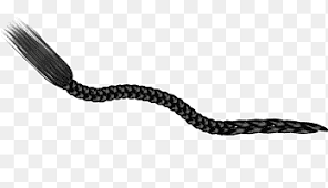 Bob for short black hair. Braid Png Images Pngegg