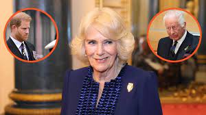 Queen Camilla against King Charles meeting Prince Harry — it's the 'last  thing she wants him to do'