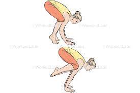 Guinea pig yoga adho mukha śvānāsana hamster asana, guinea pig yoga, animals, pet, pig cartoon png. Crane Bakasana Yoga Poses Guide By Workoutlabs