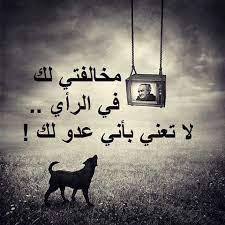 الاختلاف في الرأي لايفسد للود قضية cool words arabic love quotes true words