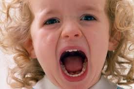 Mau comportamento pode ser genético