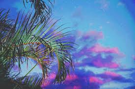 Dxv gifs get the best gif on giphy. Vaporwave Background Gif Posted By Christopher Simpson