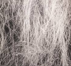 Check spelling or type a new query. Hemp Bast Fibers Hydrogen Link