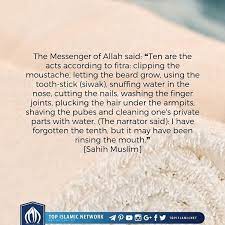 Pin On Islam