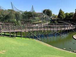 Feeding The Animals Review Of Monte Casino Bird Park Sandton South Africa Tripadvisor