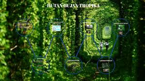 Inilah salah satu faktor mengapa aktiviti outdoor seperti hiking, trekking dan camping semakin menarik minat ramai. Hutan Hujan Tropika By Shahriman Saidin