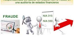 Resultado de imagen para nia 315