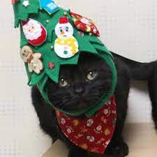 Check spelling or type a new query. Twitter Stuffs Like Or Reblog If You Save Use