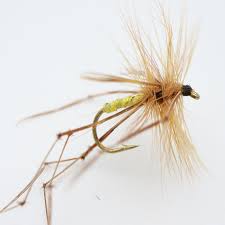 Maybe you would like to learn more about one of these? Daddy Long Legs Fishing Fly