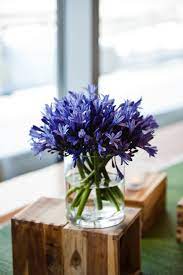 Rick Griffith Rick Griffith On About Me Event Flowers Flower Display Agapanthus