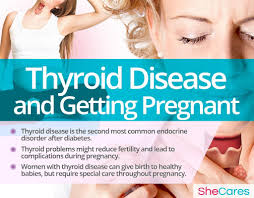 Pin On Conditions And Getting Pregnant