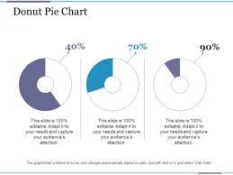 Donut Pie Chart Ppt Powerpoint Presentation Summary Example
