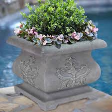 The sccc garden club's purpose is to gain and expand our knowledge of gardening here in the unique central. Pin On Landscaping