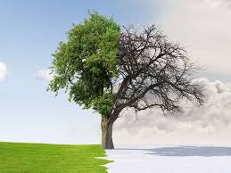 This quiz and worksheet will test you on: Quick Quiz Winter Solstice Britannica