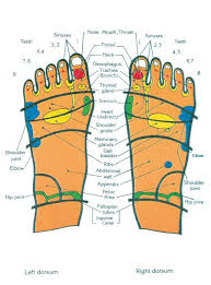 Top Of Feet Chart Foot Chart Pressure Points Reflexology