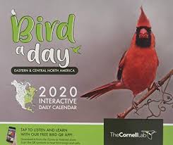 Birds Of Eastern North America Puzzle Download Pdf Bird A Day 2020 Interactive Daily Calendar Eastern Central North America Cornell Lab Of Ornithol Free Epub Books Free Pdf Books Little Mix Book