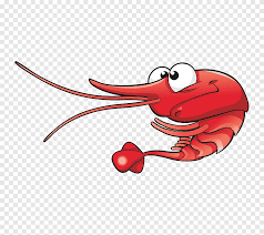 Apakah anda mencari gambar desain udang karang rebus template psd atau file vektor? Gambar Kartun Udang Hewan Jantung Png Pngegg